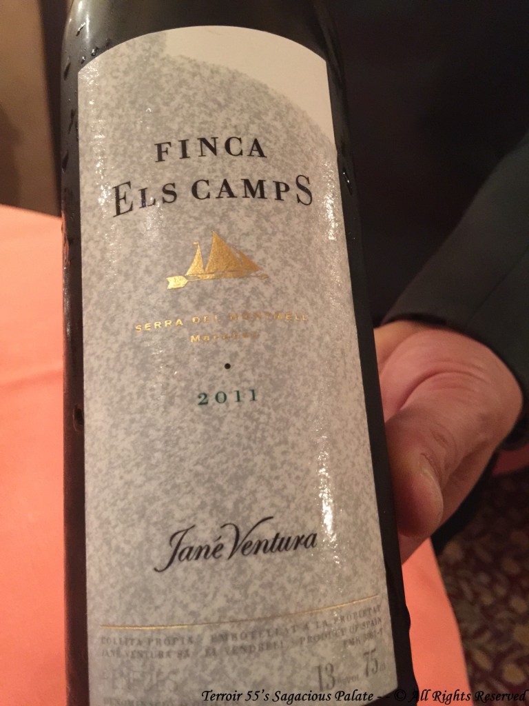 2011 Finca Els Camps - Jané Ventura